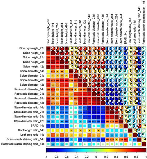 Tree Grafting Compatibility Chart