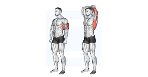 Triceps stretch
