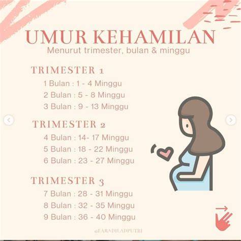 Trimester kedua kehamilan