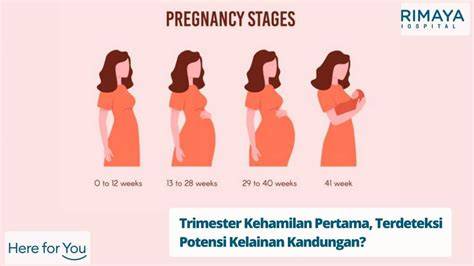 Trimester pertama kehamilan