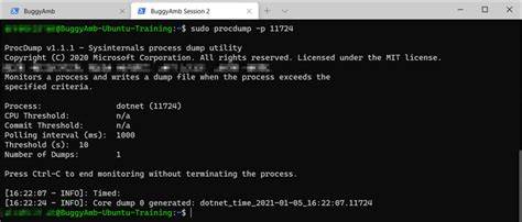Troubleshooting ASP.NET Core ProcDump