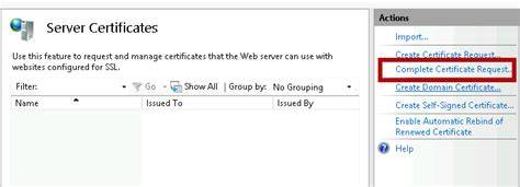 Troubleshooting IIS Certificate Request Failures