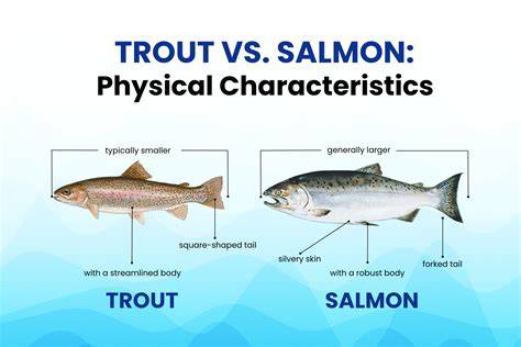 Trout vs Salmon