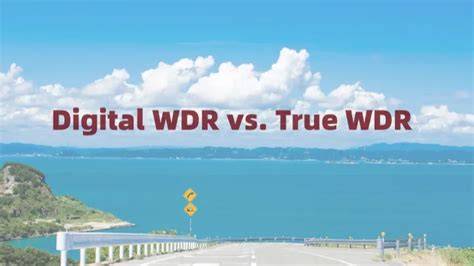 True WDR (Sensor-Based WDR)