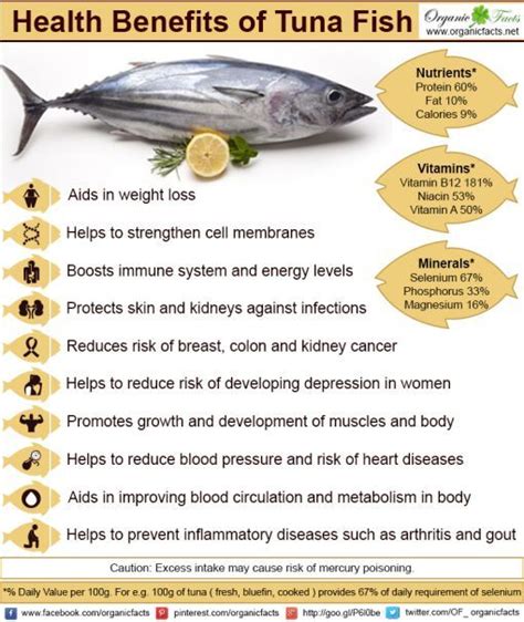 Tuna Fish anti-inflammatory