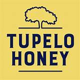 Biografia Tupelo Honey