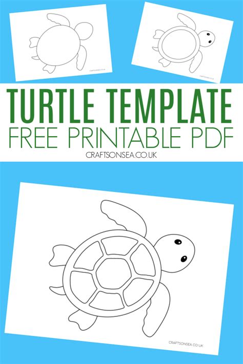 Turtle Template To Print