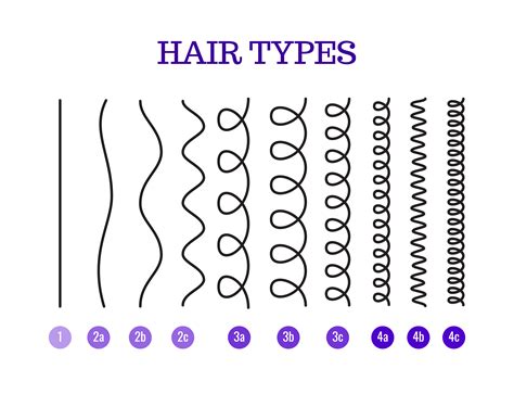 Type Curly Hair Chart