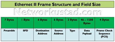 Type Field