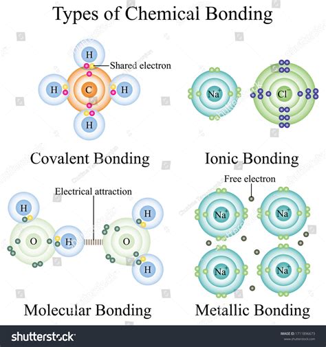Types Of Chemical Bonds Chart