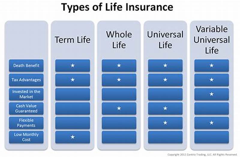 Types Of Life Insurance Chart