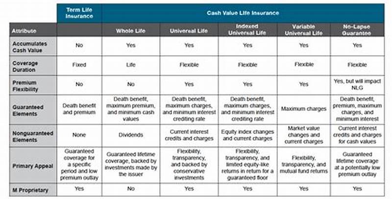 Types Of Life Insurance Comparison Chart