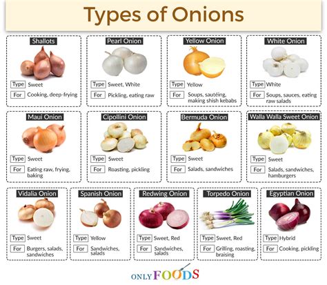Types Of Onions Chart