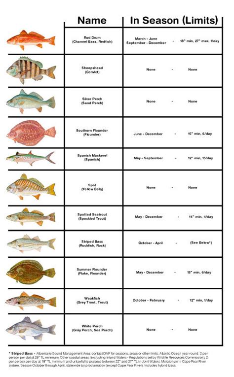 Types of Fish Limits
