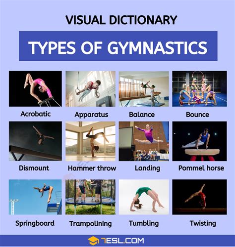Types of Gymnastics