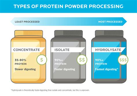 Types of Protein Supplements