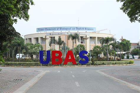 Ubas conclusion