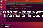 Ubuntu How to Check System Info