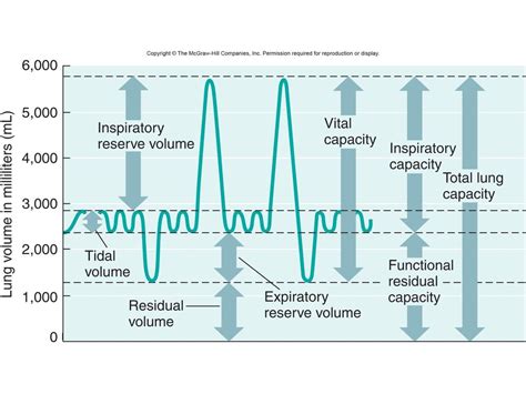 Udara Komplementer Inspiratory Reserve Volume