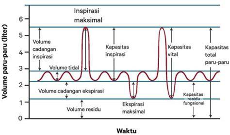 Udara Tidal