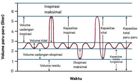 Udara Tidal Paru-paru