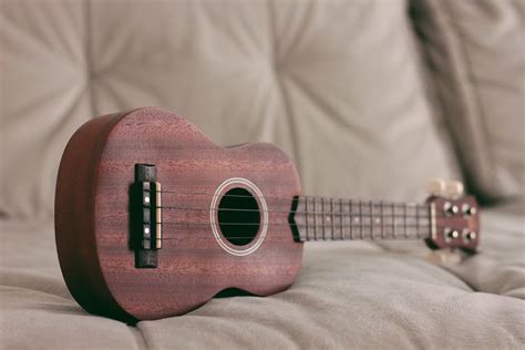 Ukulele Chordophone