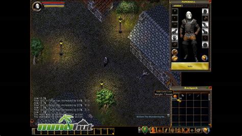 Ultima Online Gameplay
