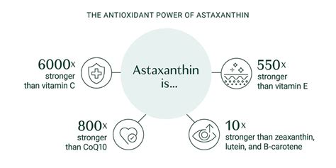 Understanding Astaxanthin: The Potent Antioxidant