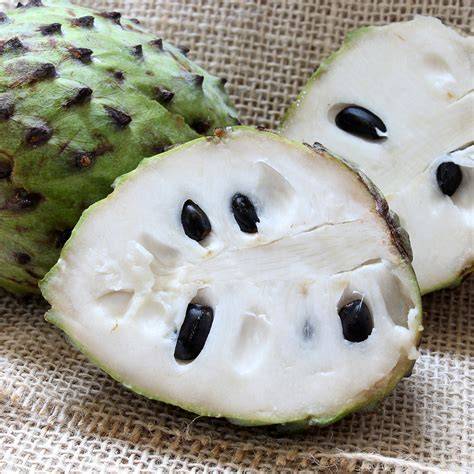 Understanding Soursop's Nutritional Powerhouse
