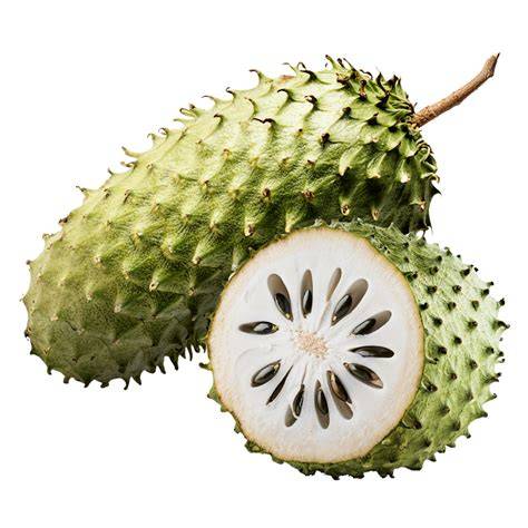 Understanding the Corossol: Soursop's Many Names