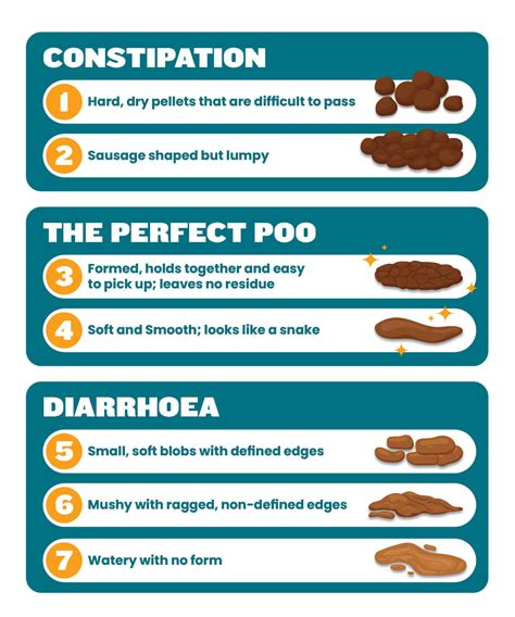 Unhealthy Cat Poop Chart Pictures