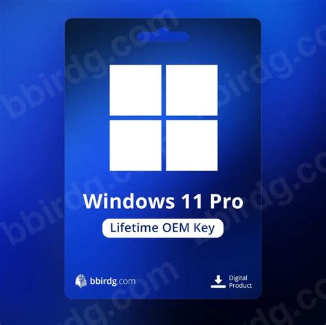 Unlock Your Windows 11 OEM Key