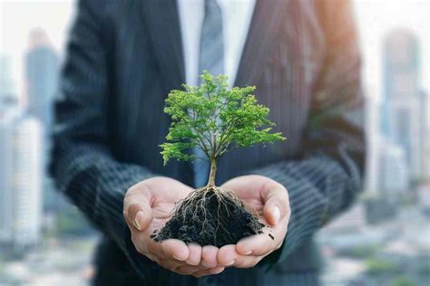 Unlocking Sustainable Growth: A Guide to Strategic Growth Strategies