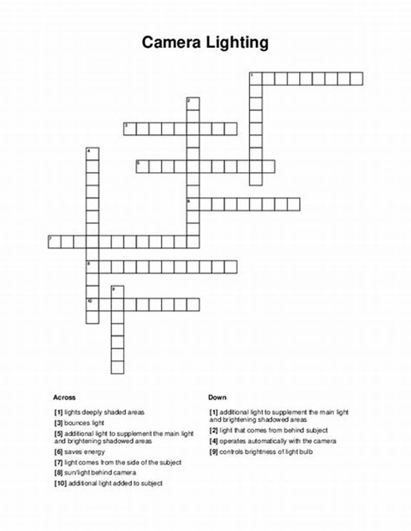 Using A Video Camera Crossword