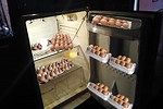 Using an Old Refrigerator as Incubator