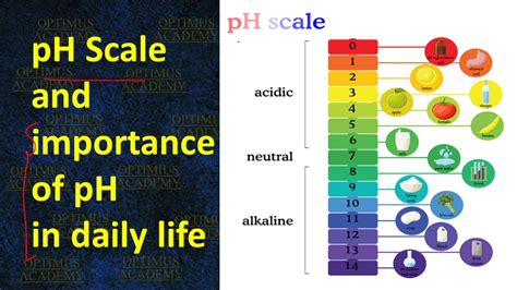 Using pH in Daily Life