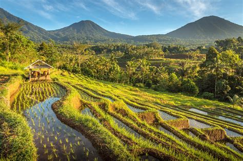 VSCO Mood Landscape Indonesia crop