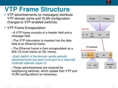 VTP Domain structure