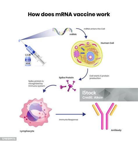 Vaksin mRNA