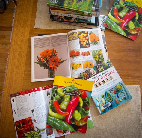 Vegetable Seeds Catalog