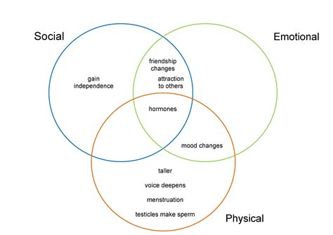 Physical Social Systems
