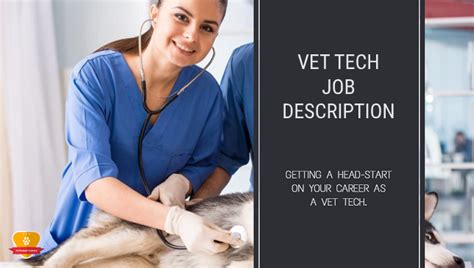 Vet Tech Career Description