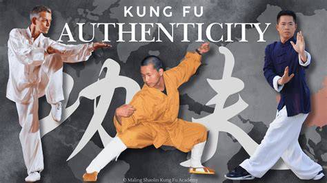 Video Kungfu