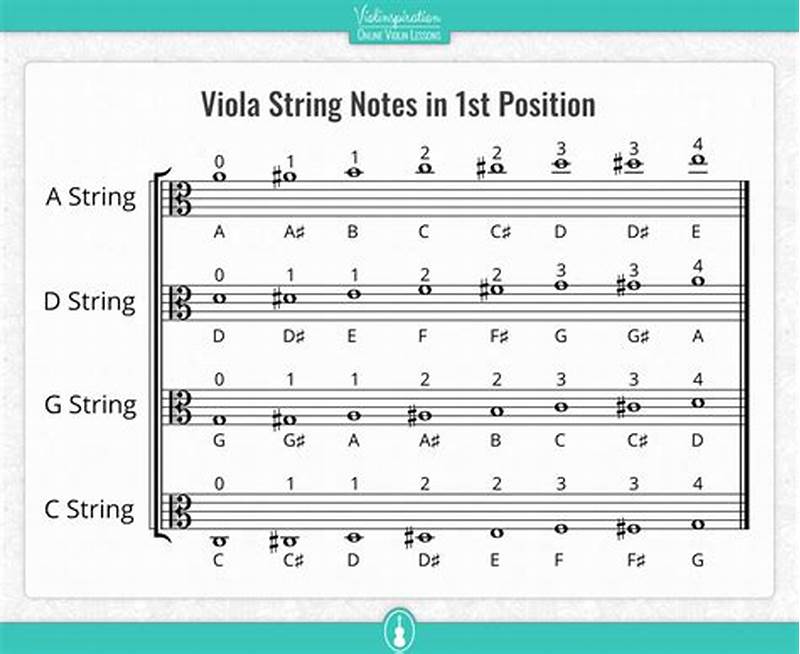 Viola String Chart