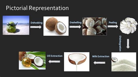 Virgin Coconut Oil process