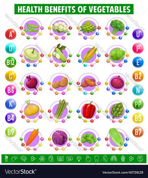 Vitamins And Vegetables Chart