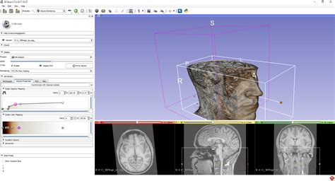 Volume Rendering dalam Visualisasi Data 3D