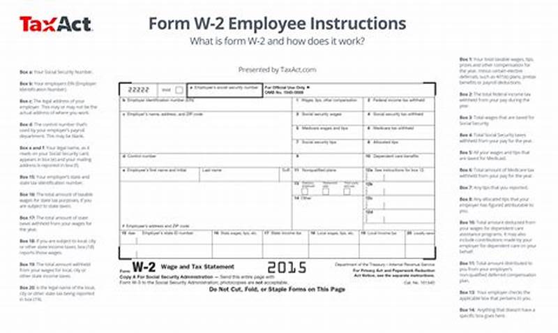 W 2 Form Explained