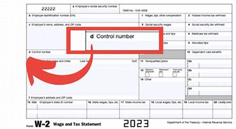 W2 Form Control Number