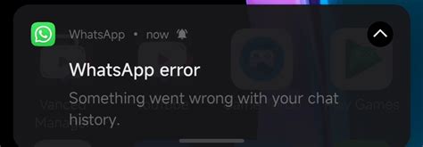 WA Web Error